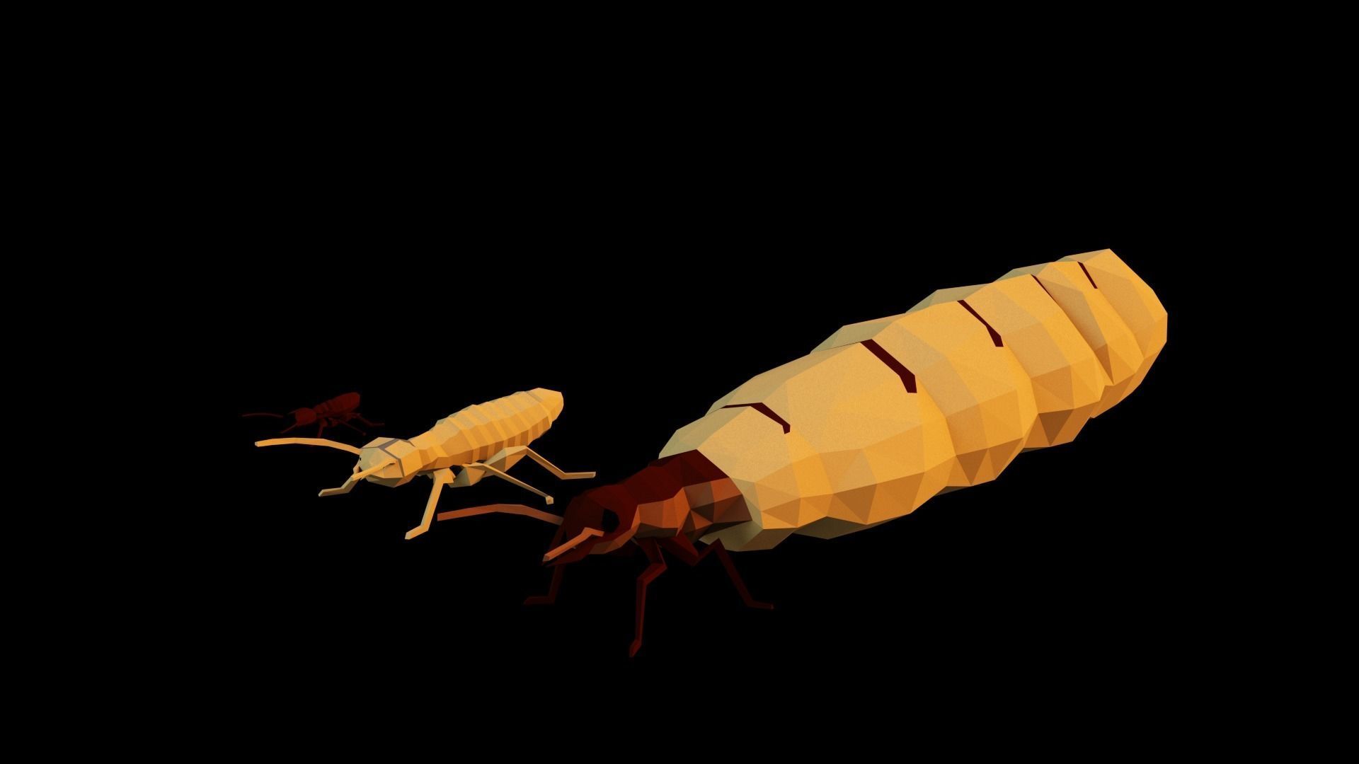 Termits two insects Low-poly 3D model_11