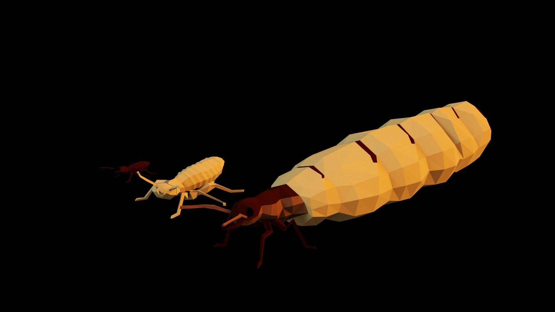 Termits two insects Low-poly 3D model_58