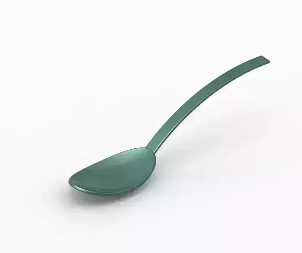 Elegant Table Spoon