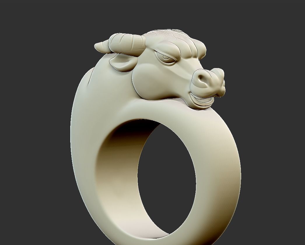 bull ring 3D print model_3