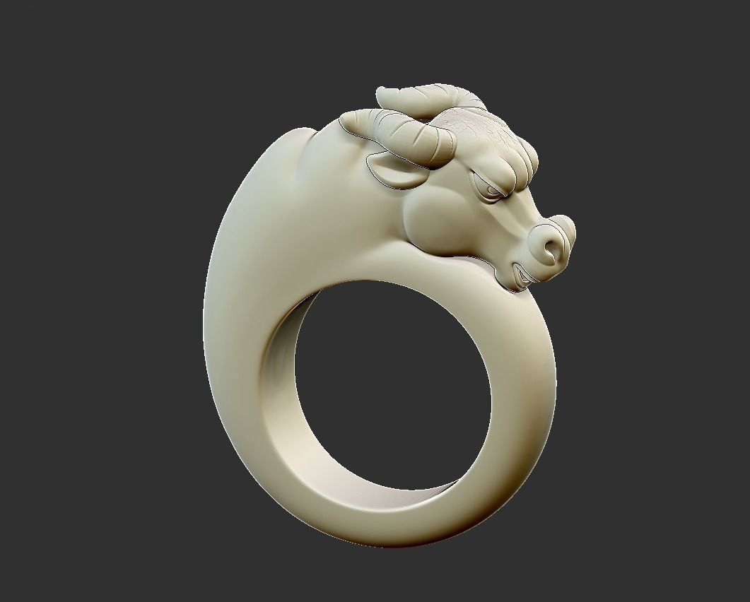 bull ring 3D print model_2