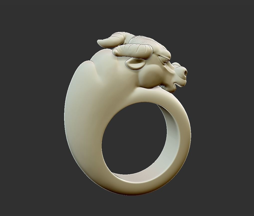 bull ring 3D print model_4