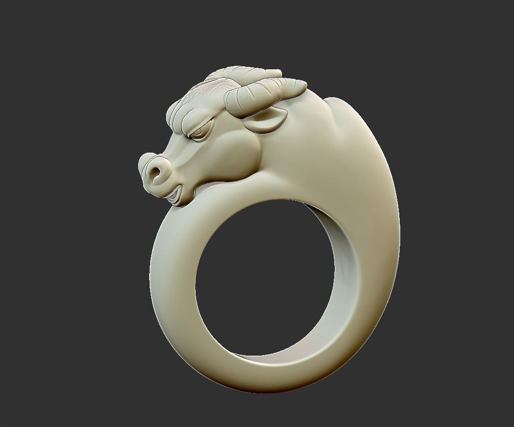bull ring 3D print model_1
