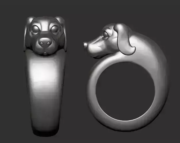 dog ring