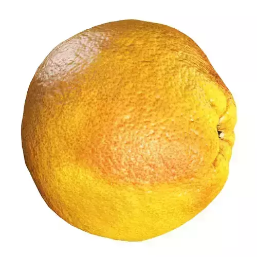 4k grapefruit orange 3D model