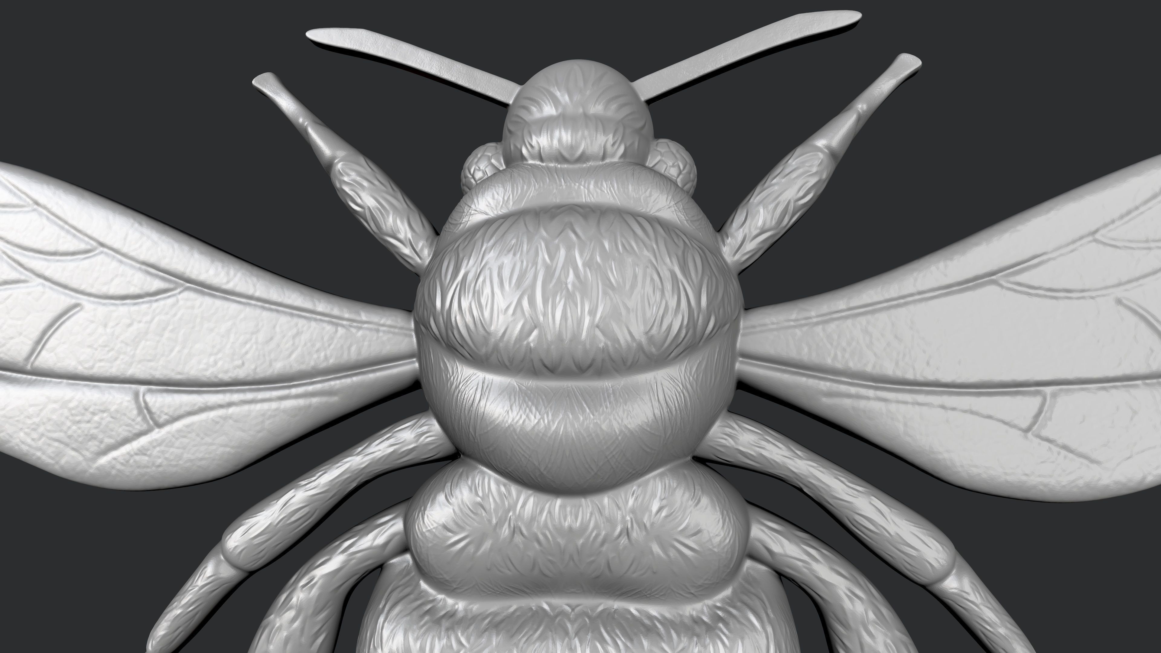 STL models for 3D printing and CNC bee 3D print model_3