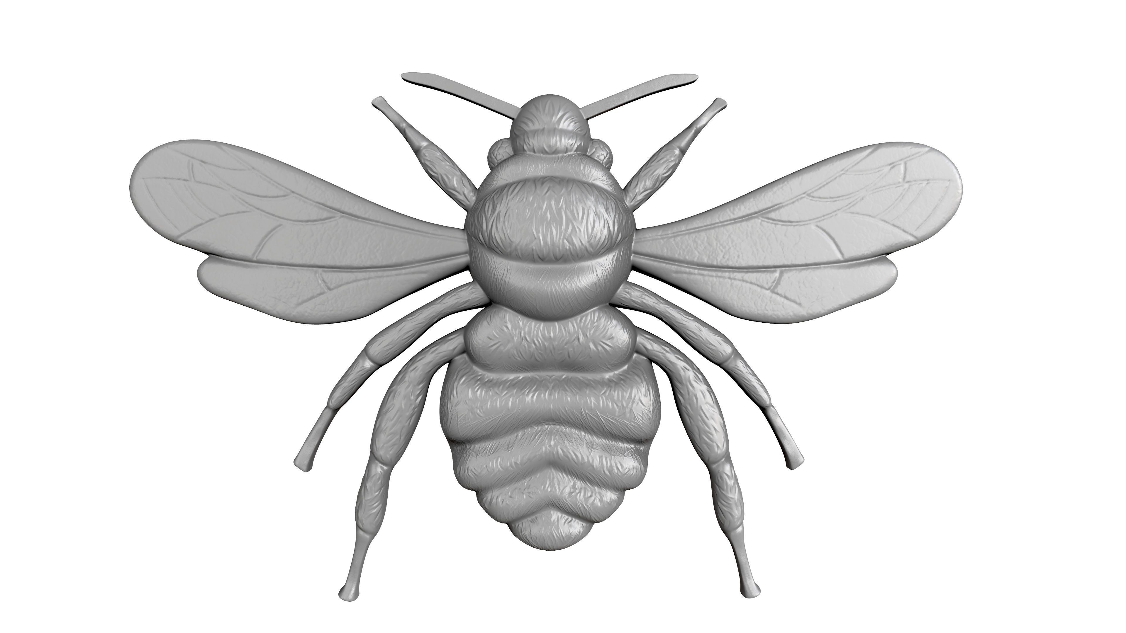 STL models for 3D printing and CNC bee 3D print model_4