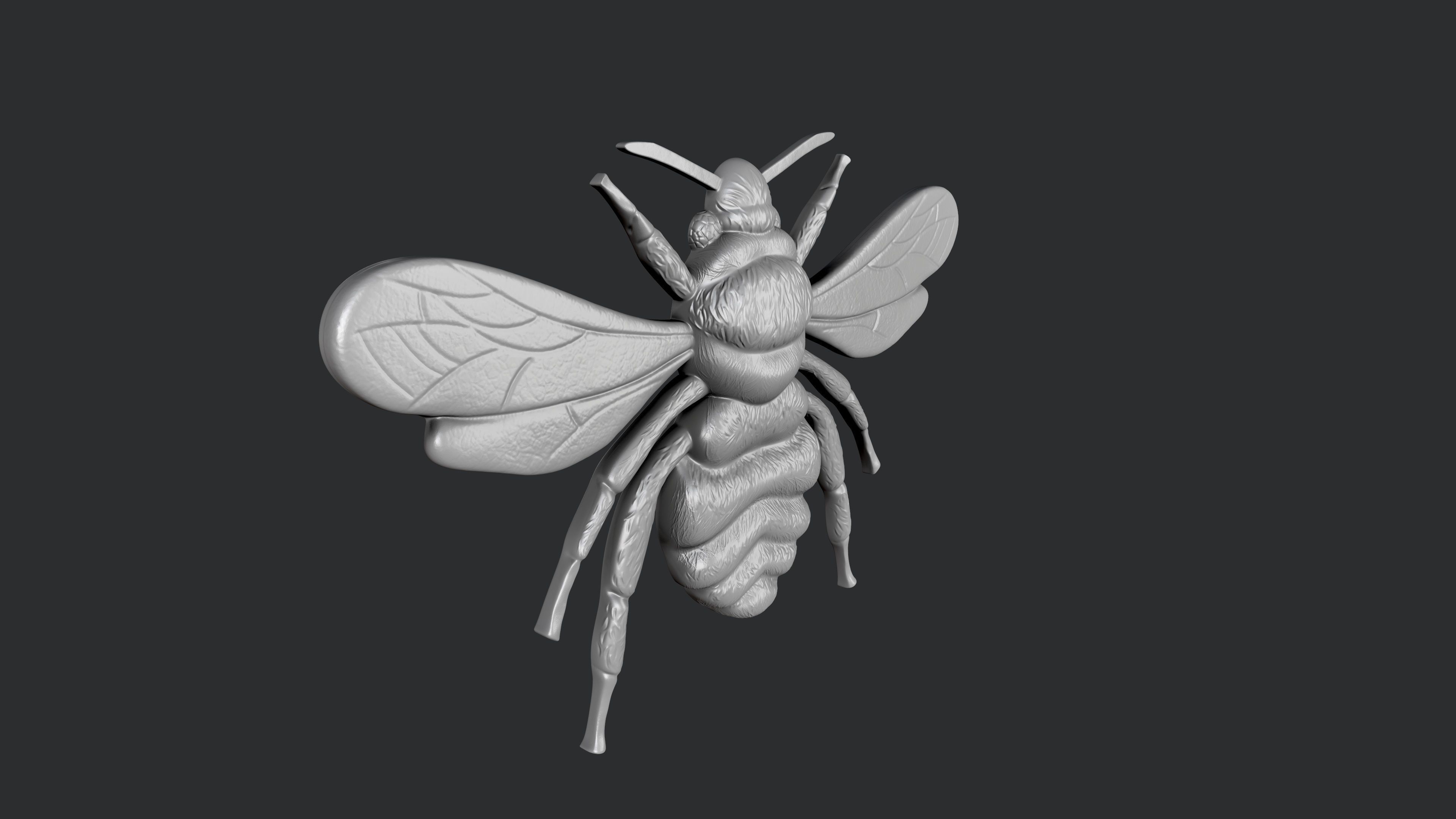 STL models for 3D printing and CNC bee 3D print model_2