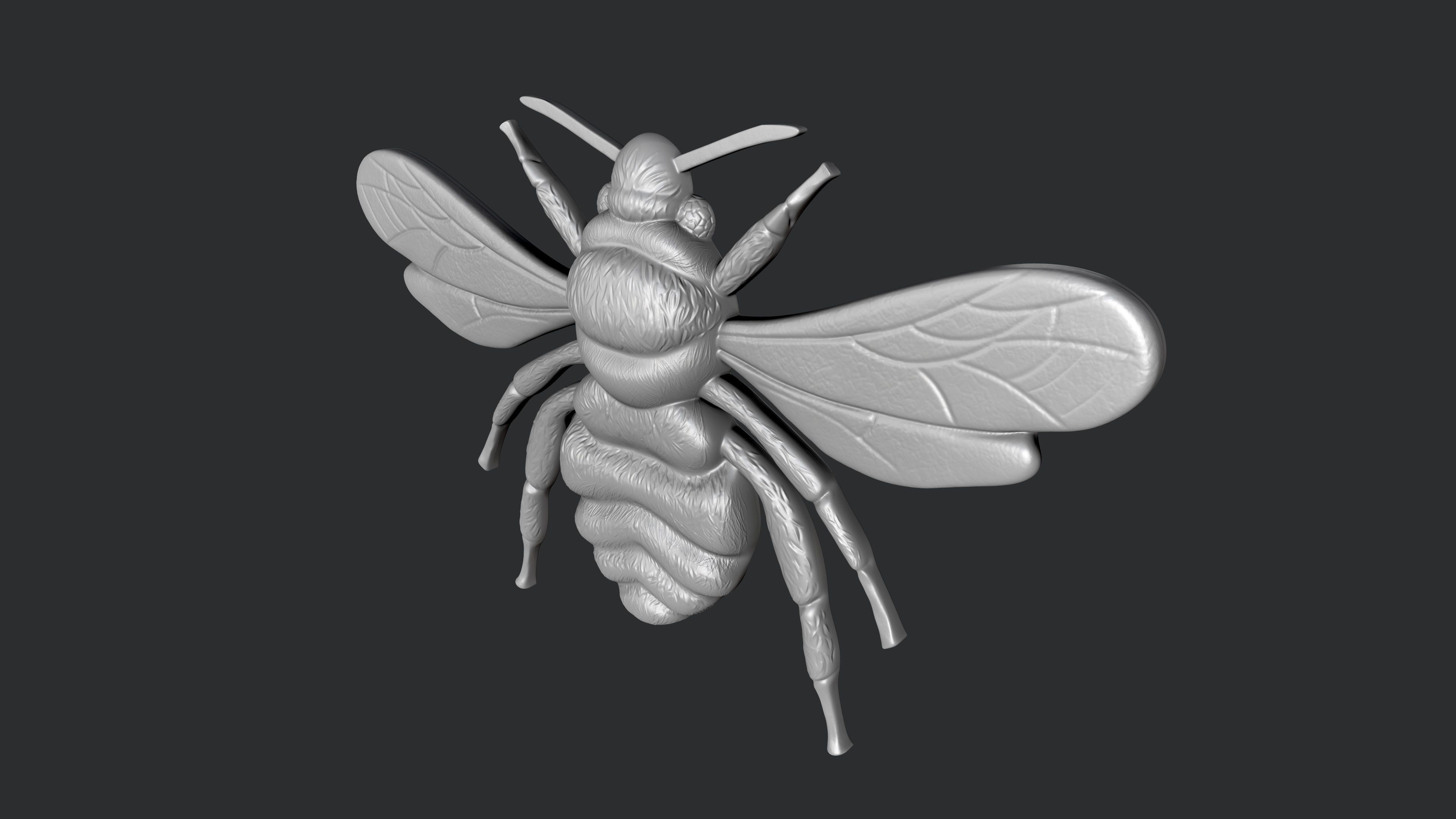 STL models for 3D printing and CNC bee 3D print model_1