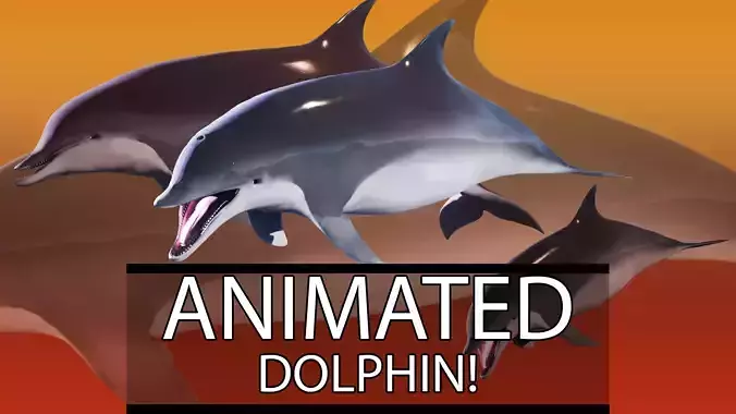 Realistic Animated Dolphin Low-poly 3D model