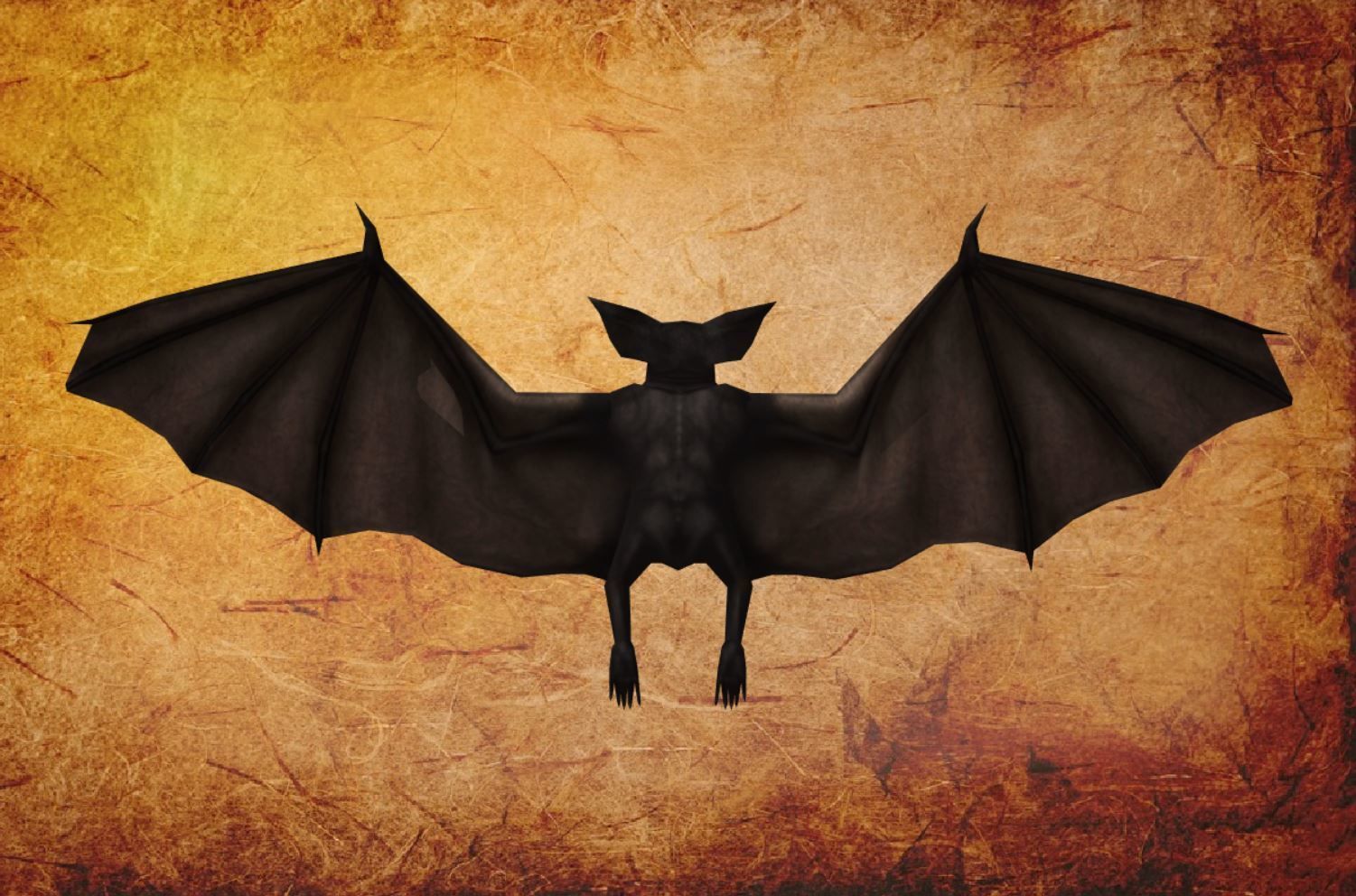 Bird - Bat Low-poly 3D model_11