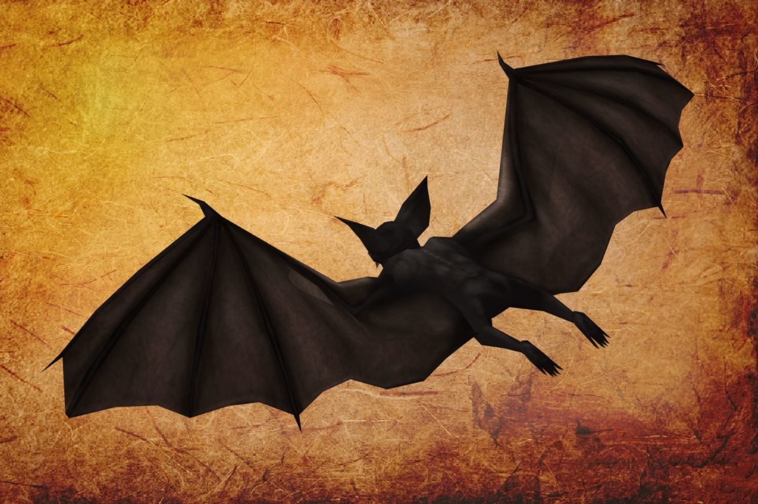 Bird - Bat Low-poly 3D model_10
