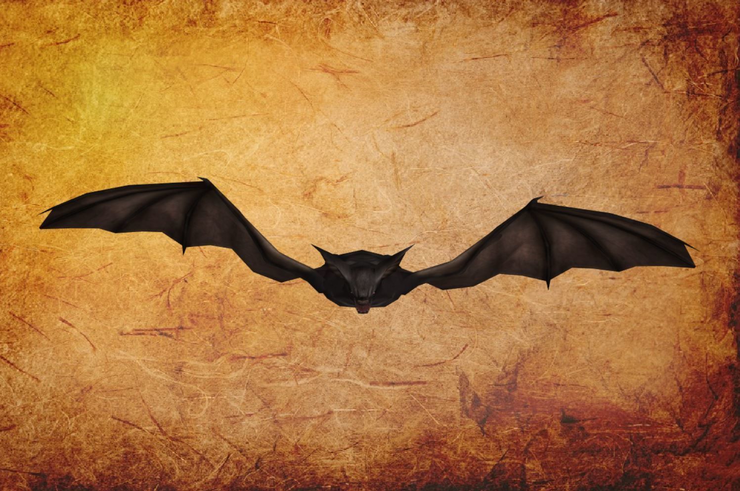 Bird - Bat Low-poly 3D model_1