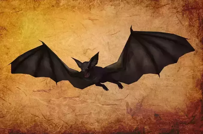 Bird - Bat