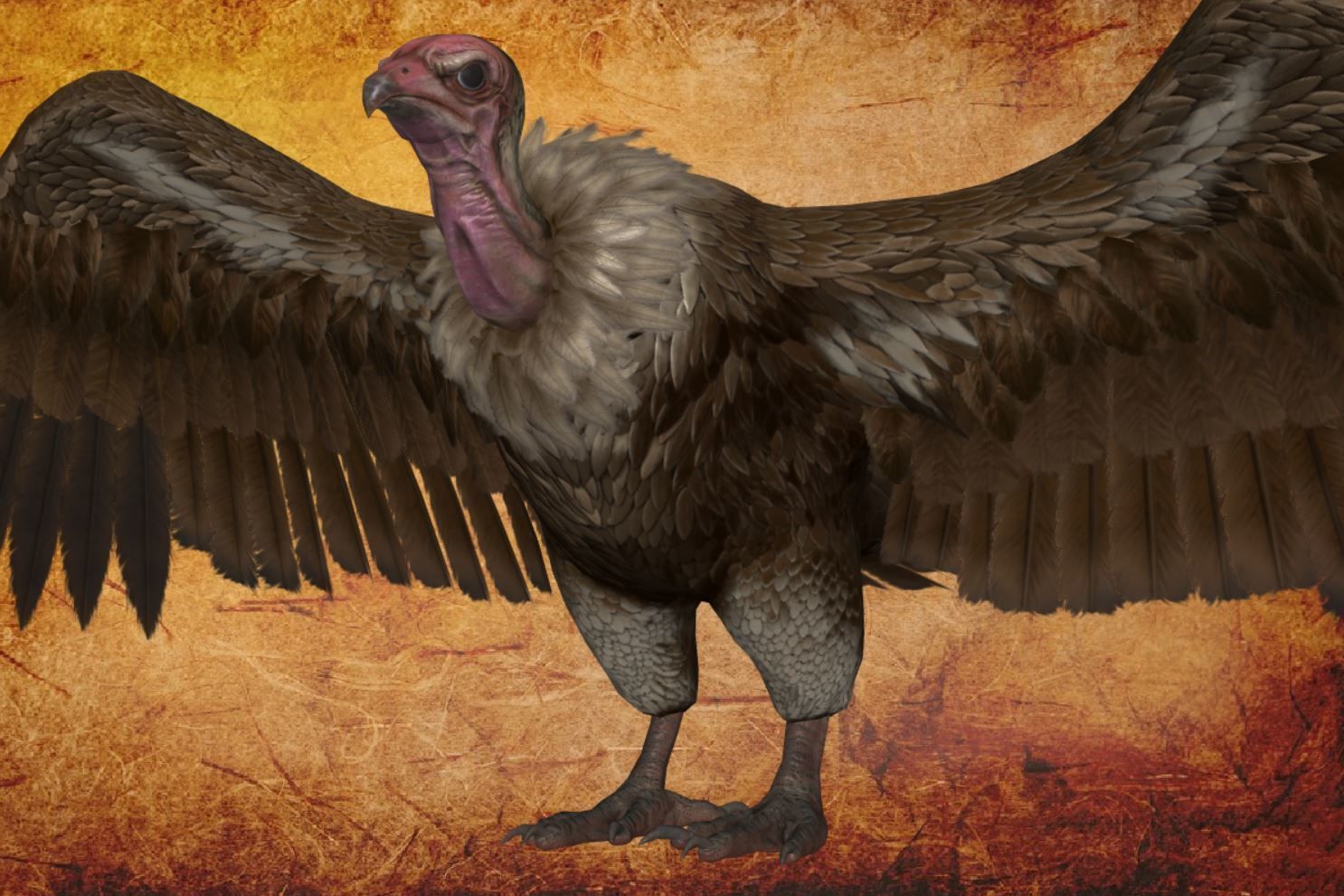 Bird - vulture Low-poly 3D model_9