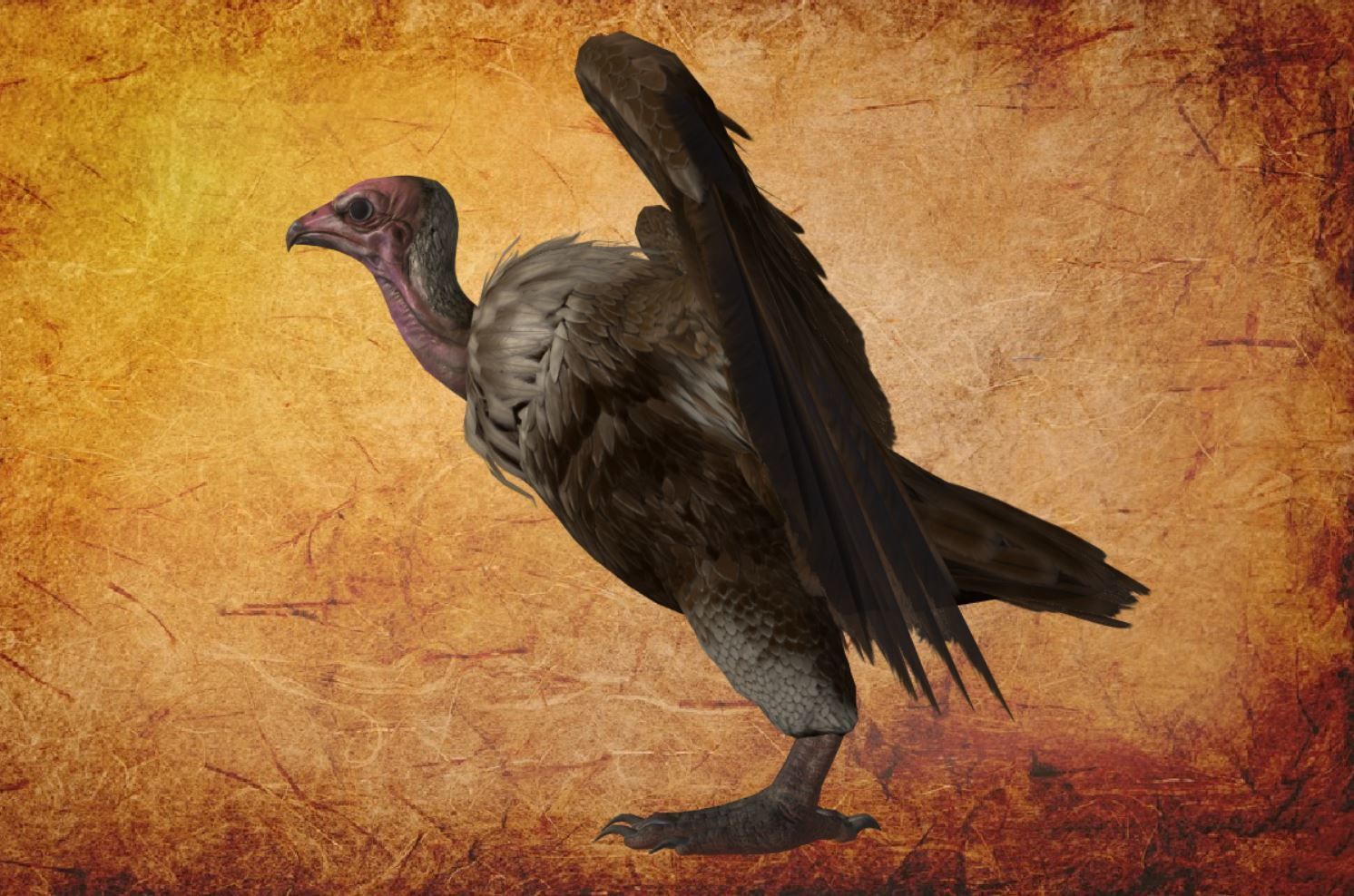 Bird - vulture Low-poly 3D model_10