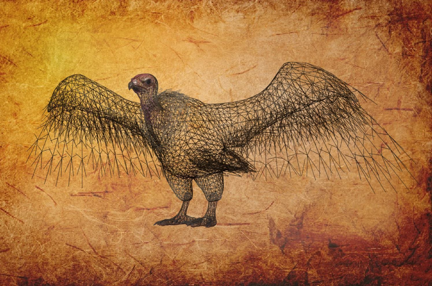 Bird - vulture Low-poly 3D model_8