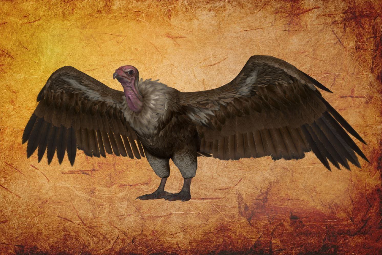 Bird - vulture Low-poly 3D model_6