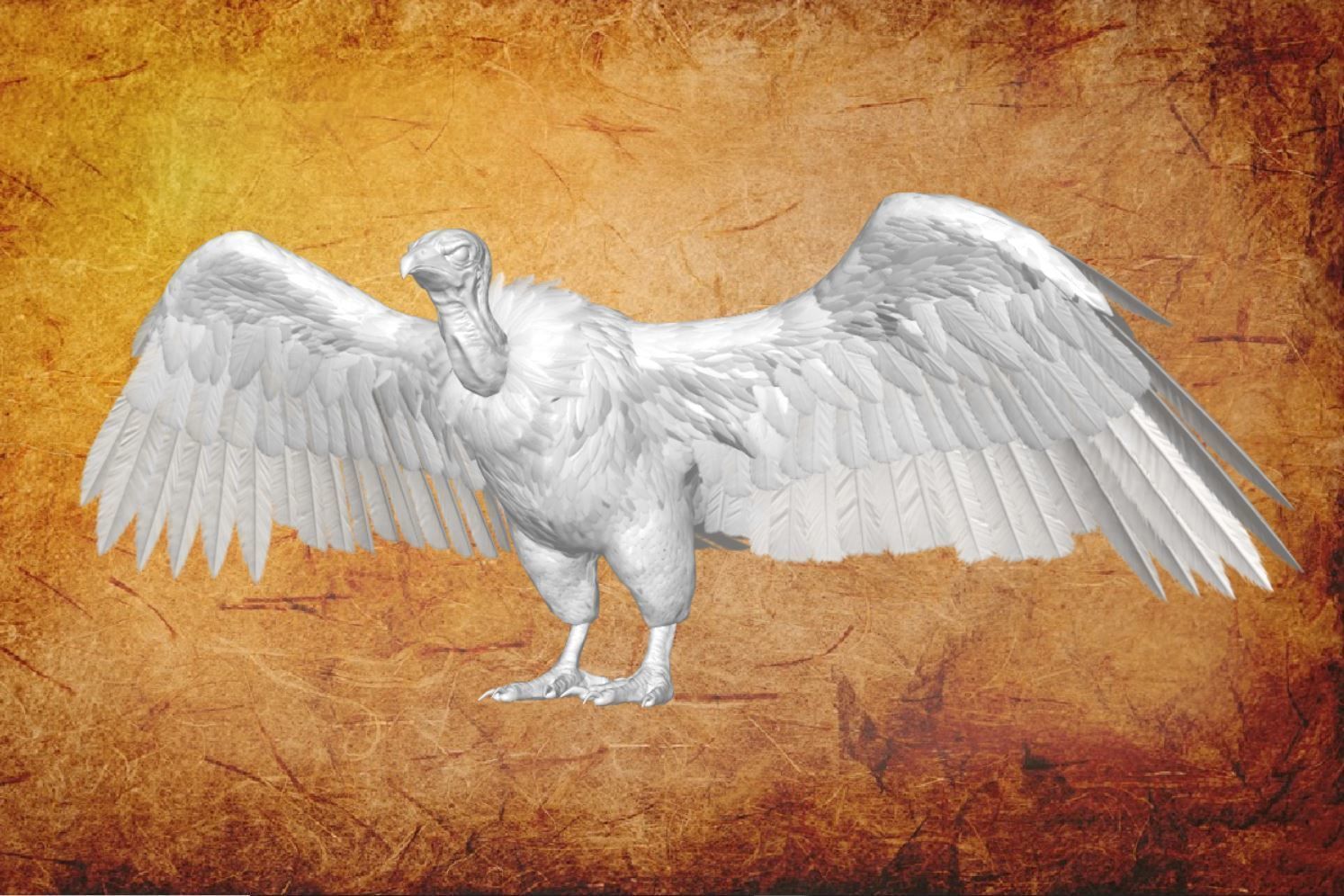 Bird - vulture Low-poly 3D model_7