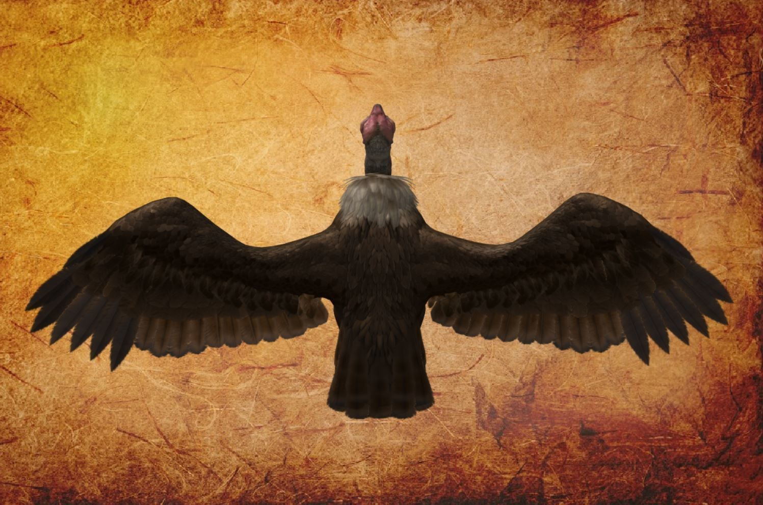 Bird - vulture Low-poly 3D model_12