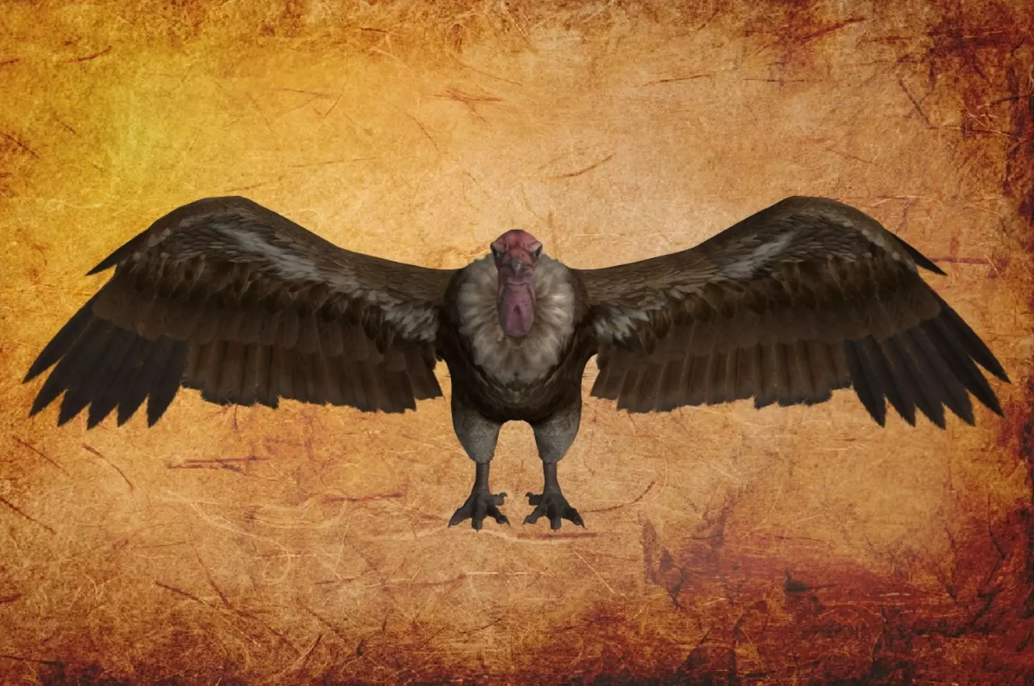 Bird - vulture Low-poly 3D model_0