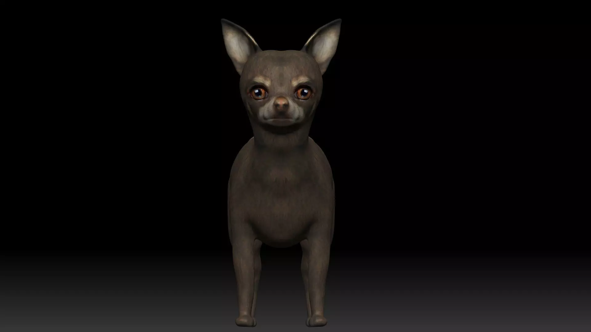 Chihuahua Dog Low-poly 3D model_0