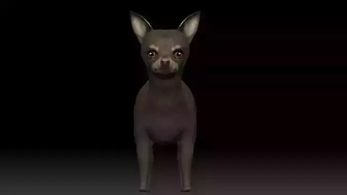 Chihuahua Dog Low-poly 3D model