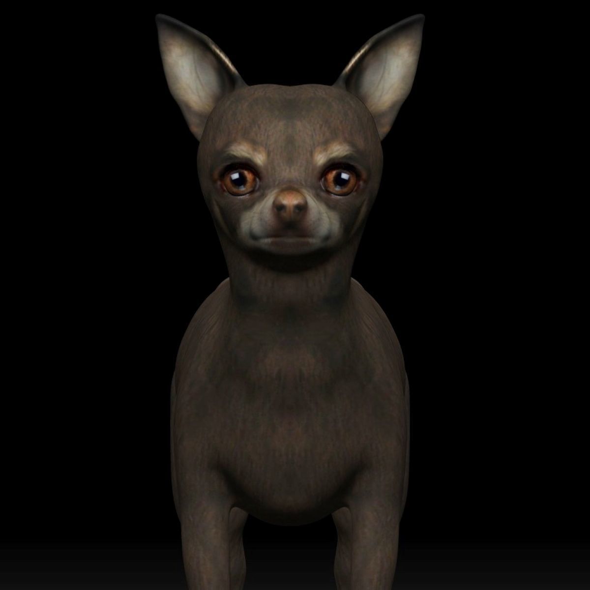 Chihuahua Dog Low-poly 3D model_2