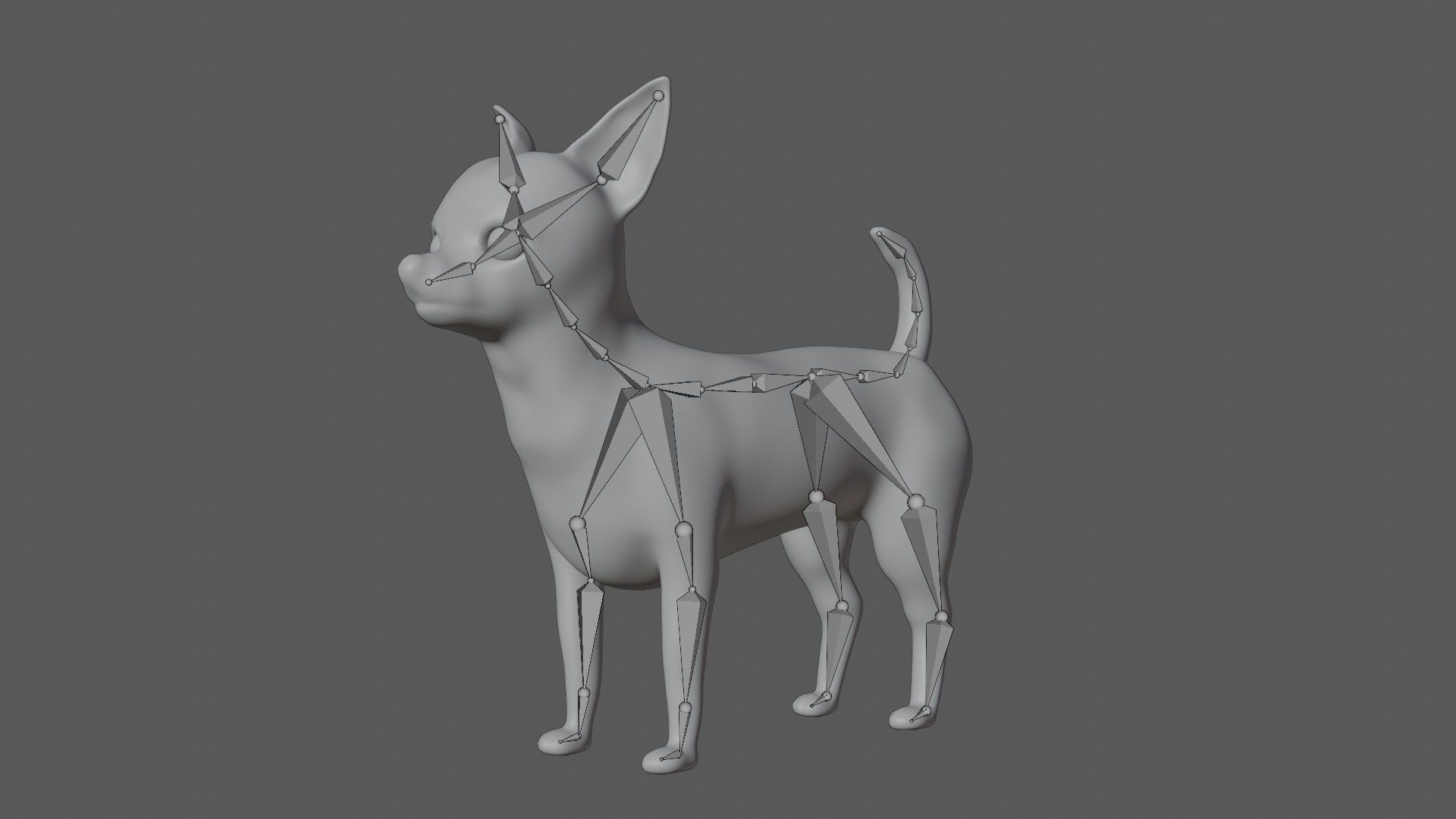 Chihuahua Dog Low-poly 3D model_5