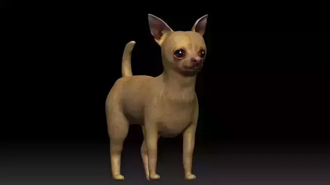 Chihuahua Dog Low-poly 3D model