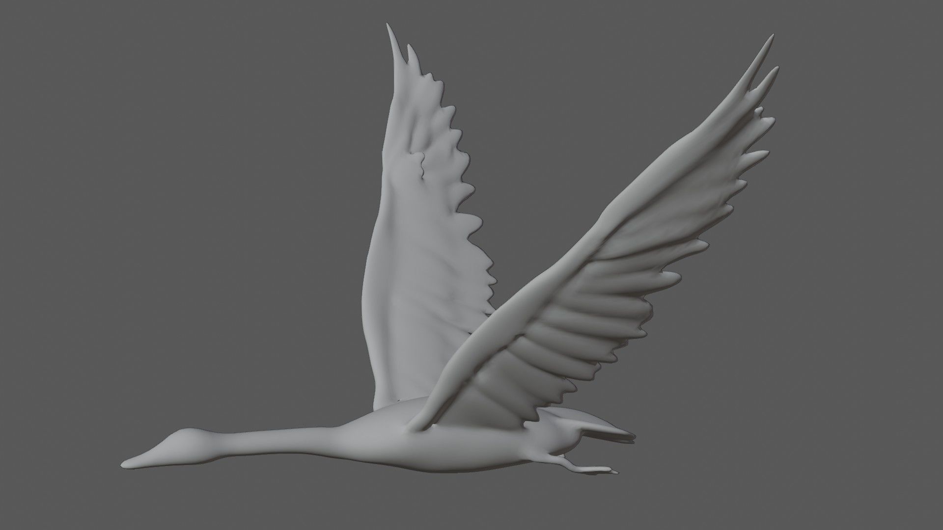 Swan bird Low-poly 3D model_5