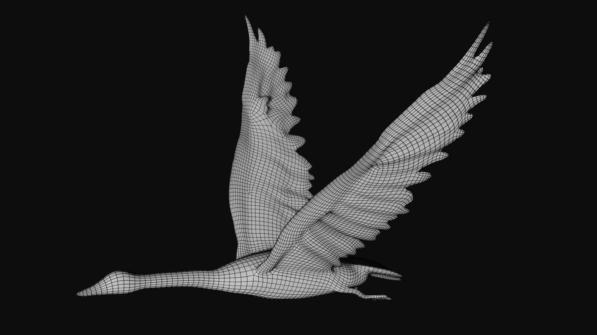 Swan bird Low-poly 3D model_7