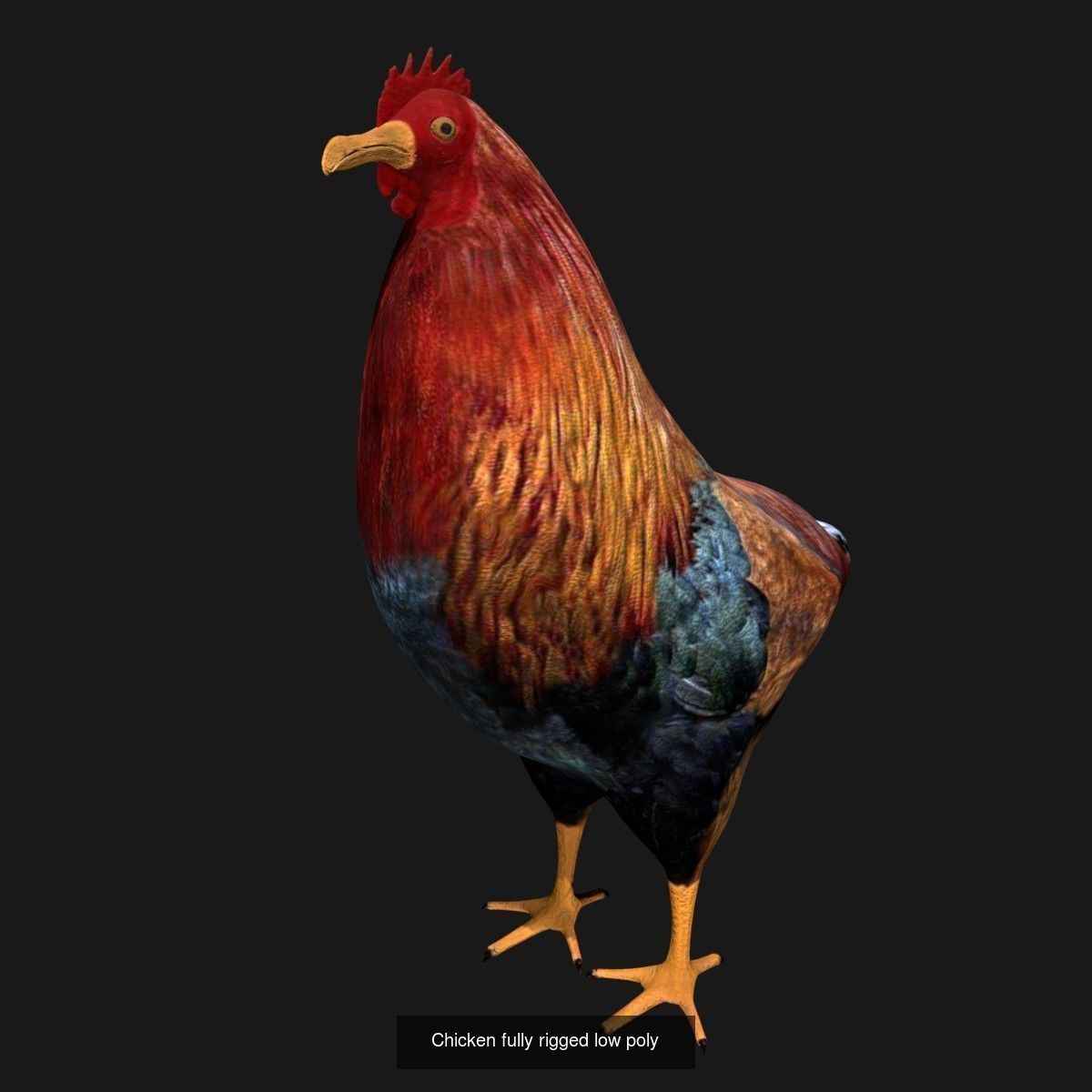 Birds Collection eagle in flight _33