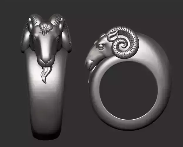 ram ring