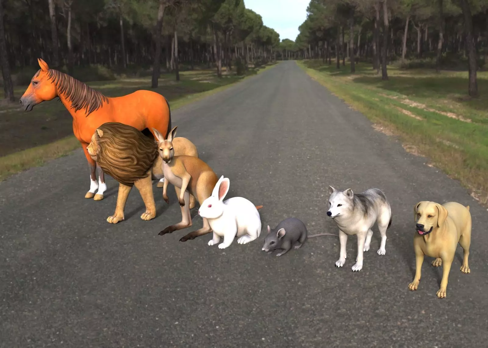 Animal Group lion horse rat rabbit kangaroo wolf and dog  3D model_0