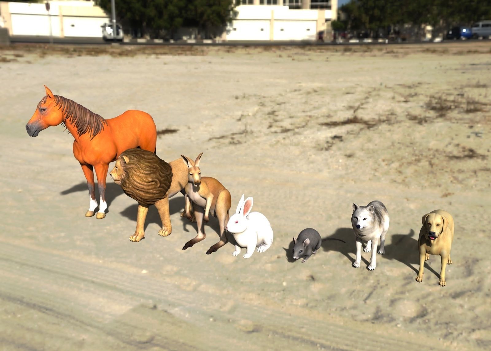 Animal Group lion horse rat rabbit kangaroo wolf and dog  3D model_3
