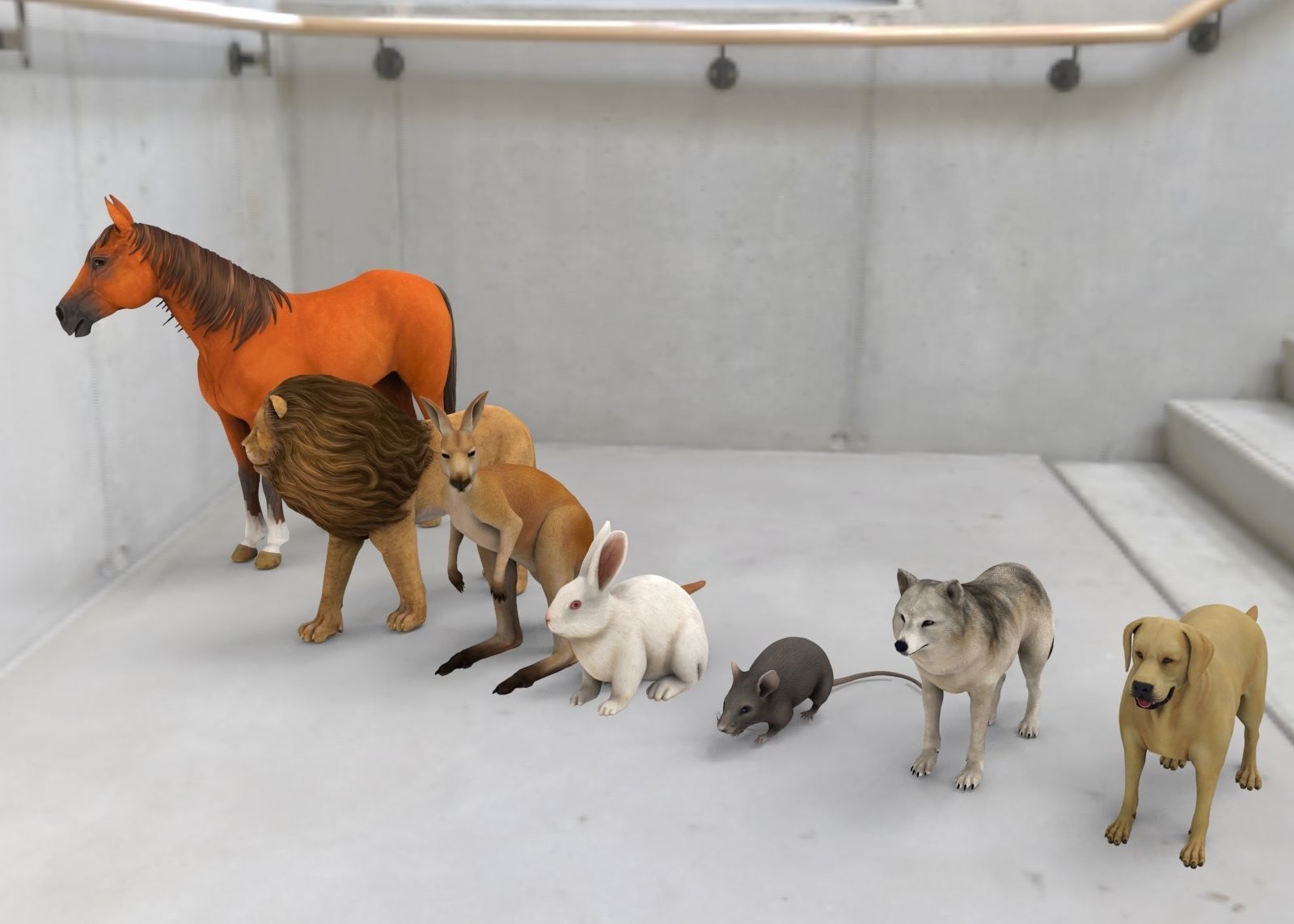 Animal Group lion horse rat rabbit kangaroo wolf and dog  3D model_2