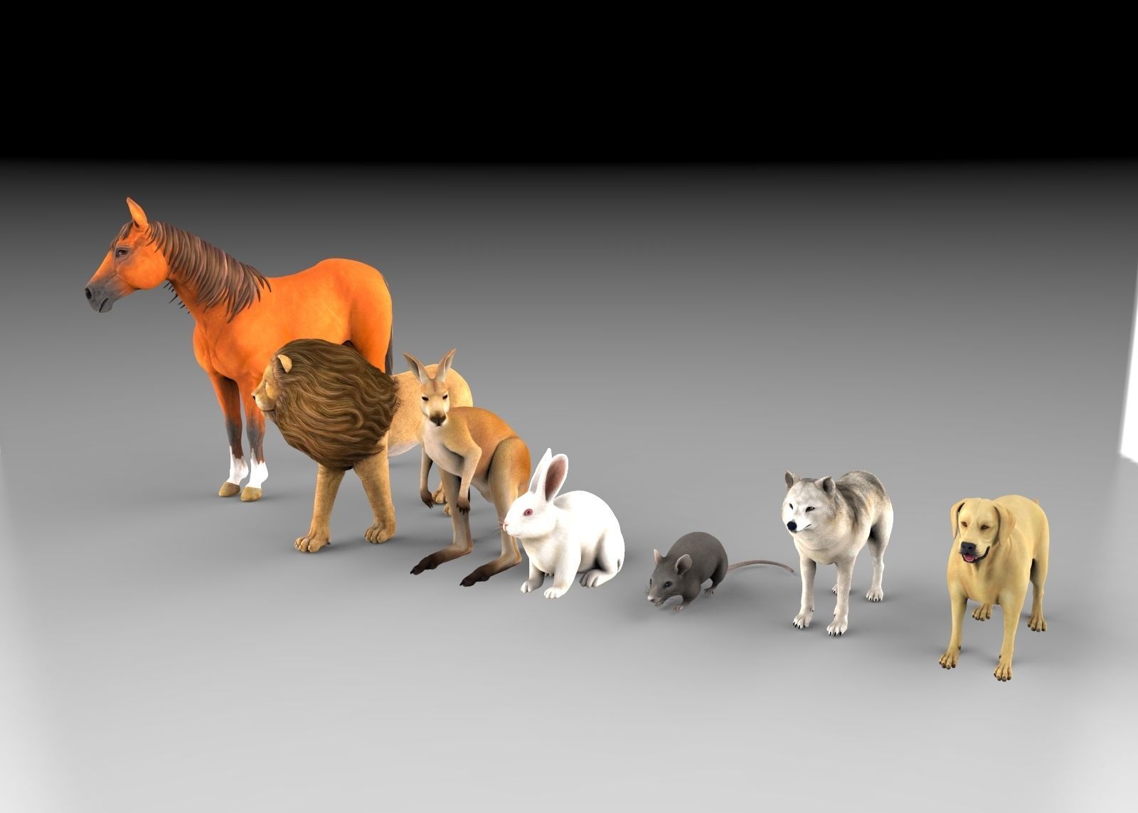 Animal Group lion horse rat rabbit kangaroo wolf and dog  3D model_5