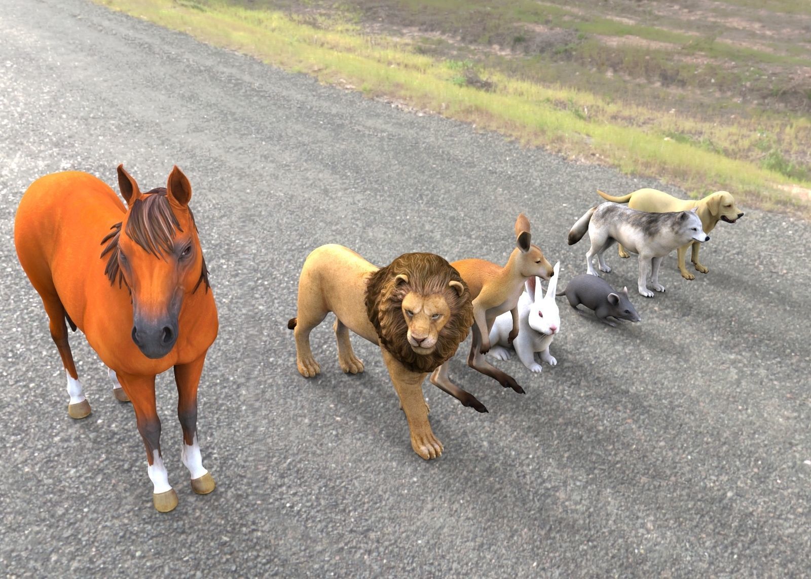 Animal Group lion horse rat rabbit kangaroo wolf and dog  3D model_1
