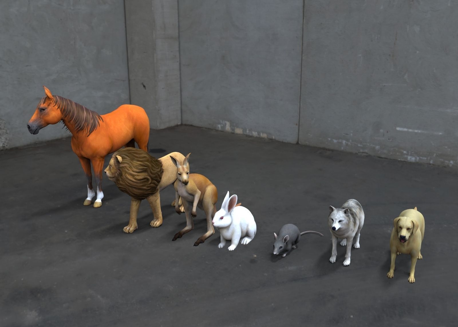 Animal Group lion horse rat rabbit kangaroo wolf and dog  3D model_4