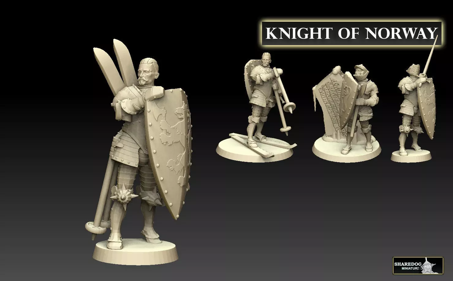 Knight of Norway 3D print model_0