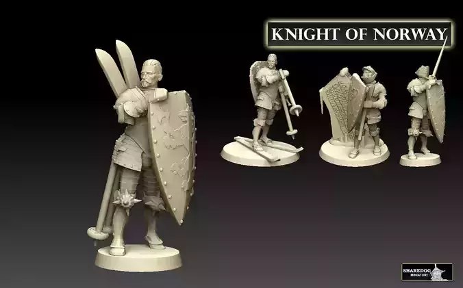 Knight of Norway 3D print model