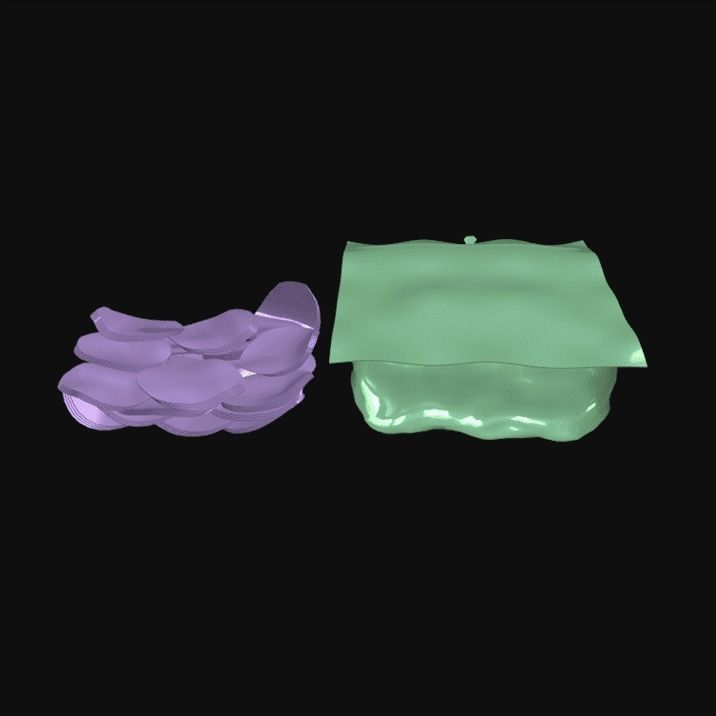 Package of Pepperoni 3D model_5