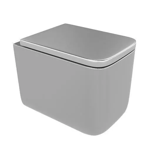 Gray Toilet Bowl 3D model