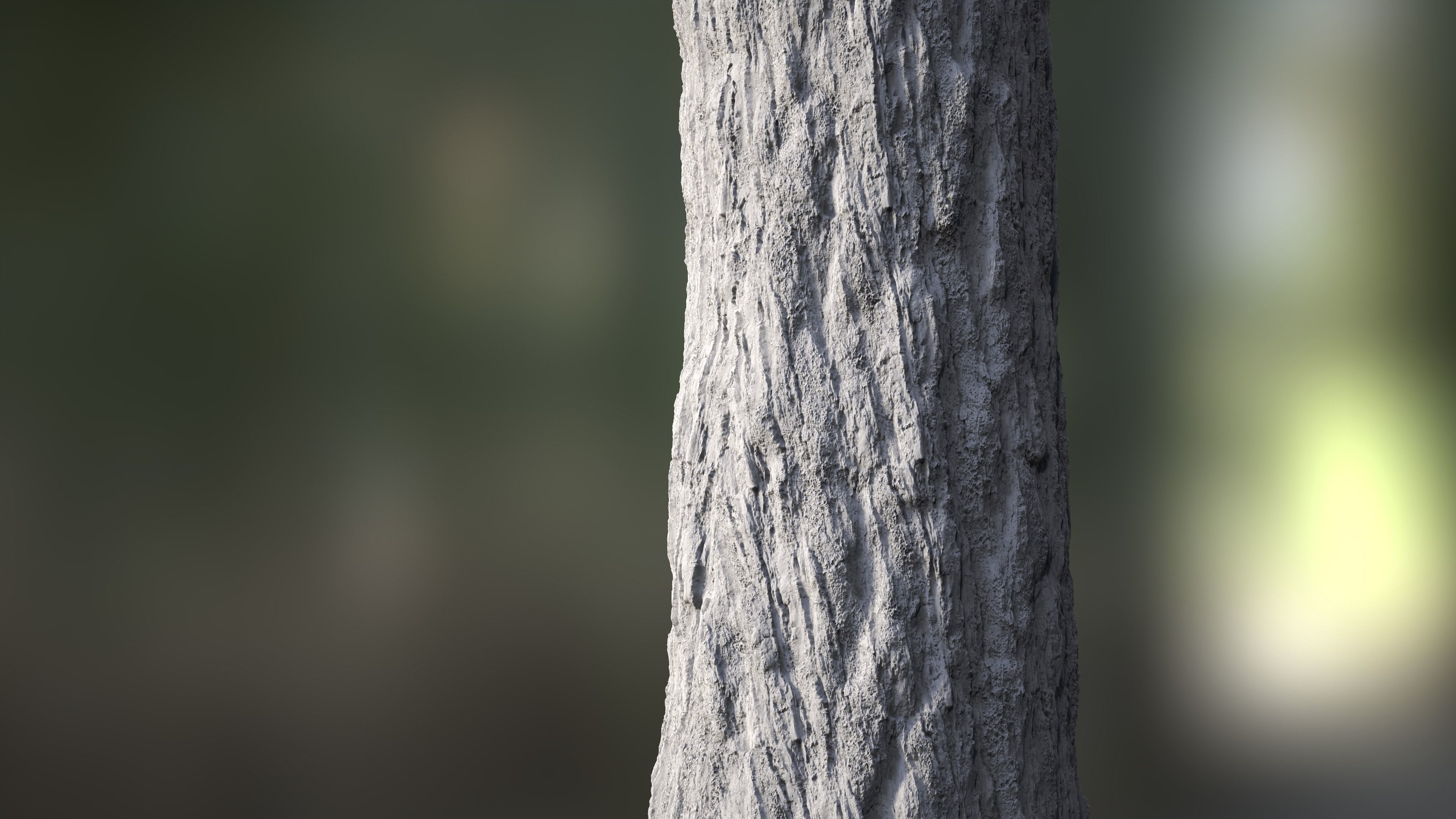 Tree Bark Texture_4