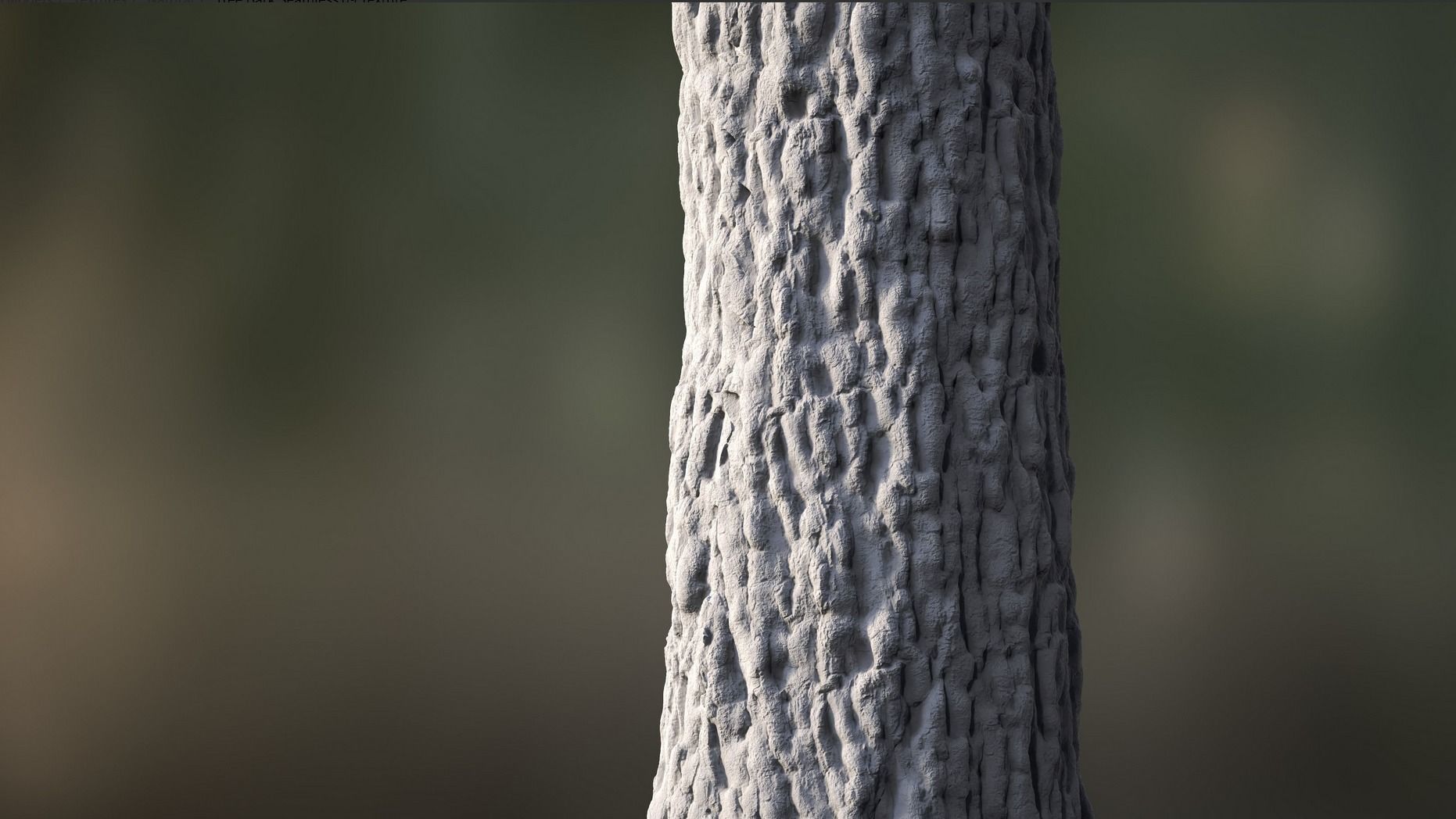 Tree Bark Texture_18
