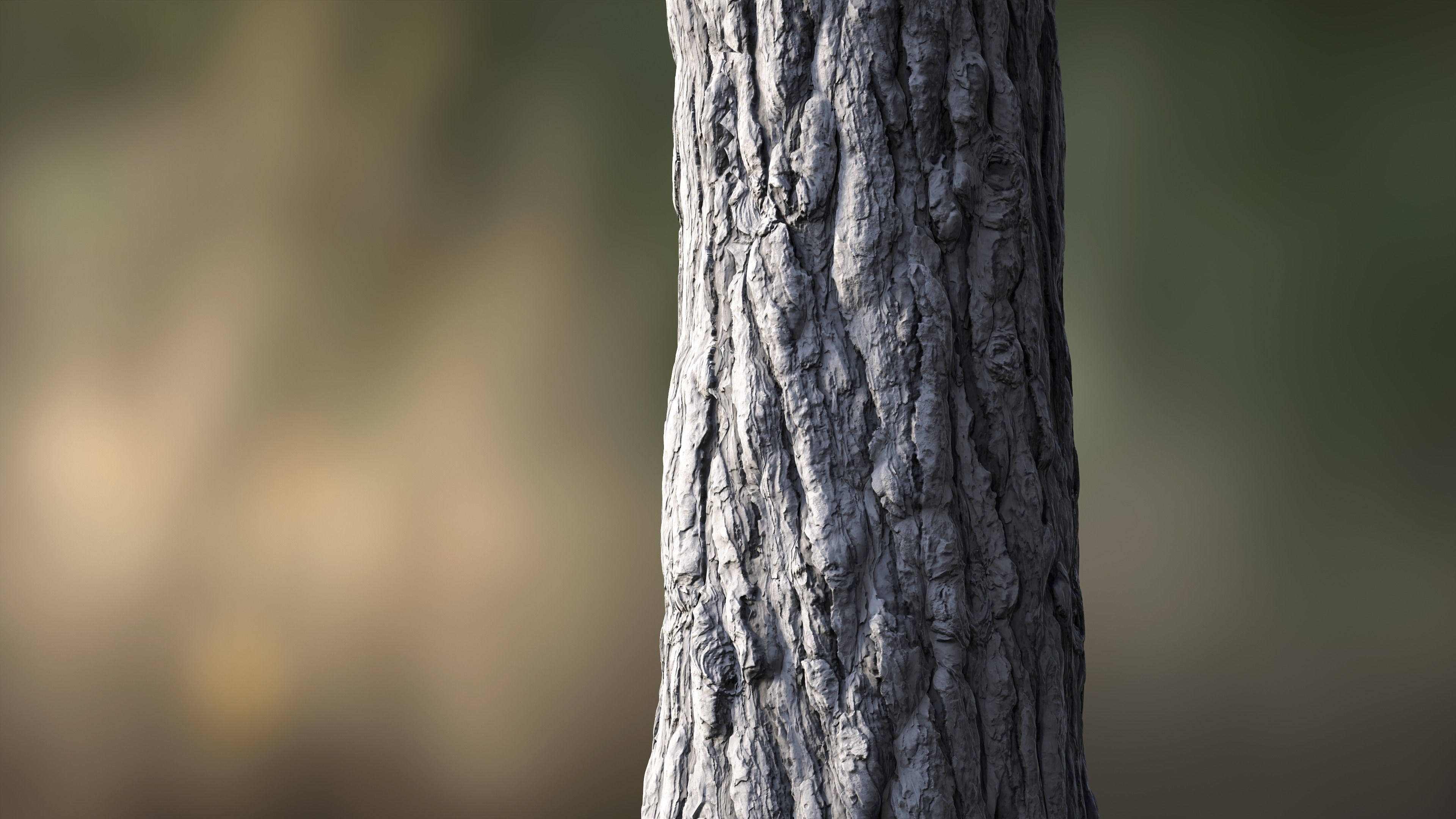 Tree Bark Texture_24