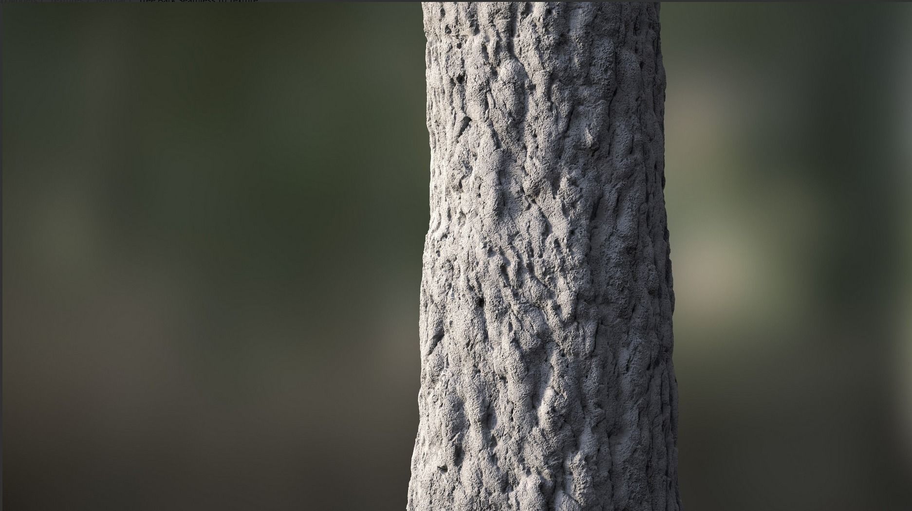 Tree Bark Texture_20