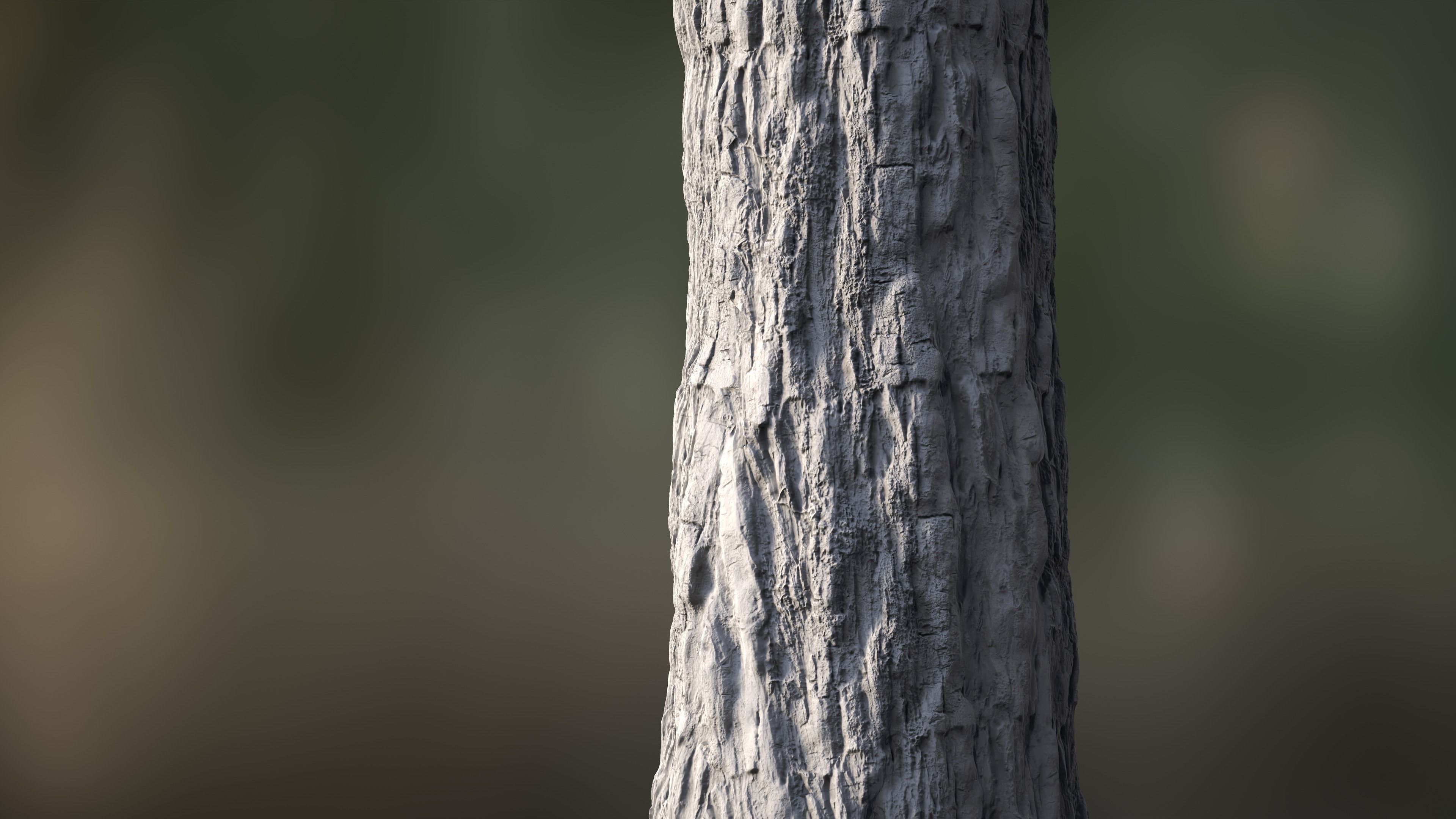 Tree Bark Texture_10