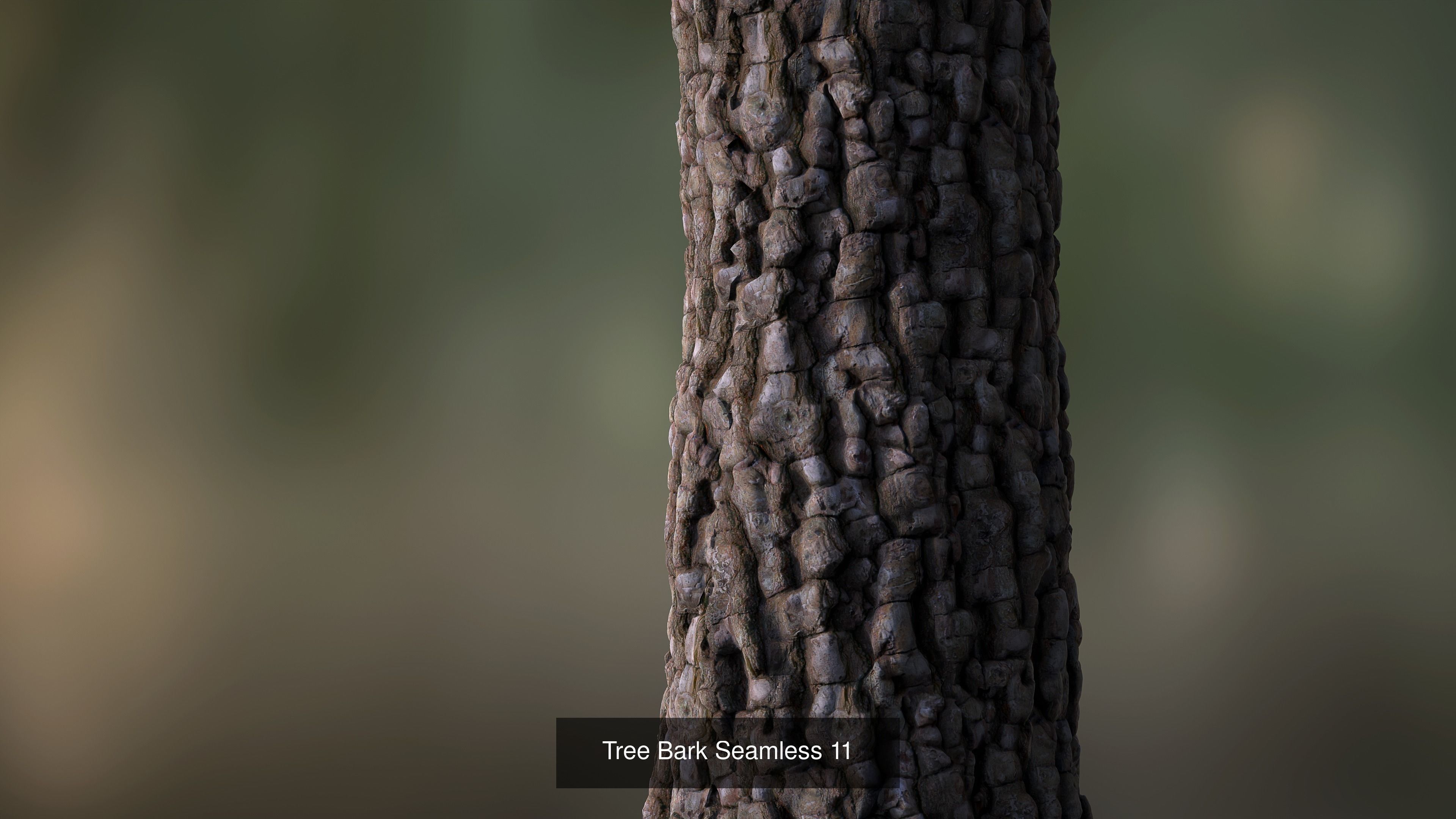 Tree Bark Texture_21